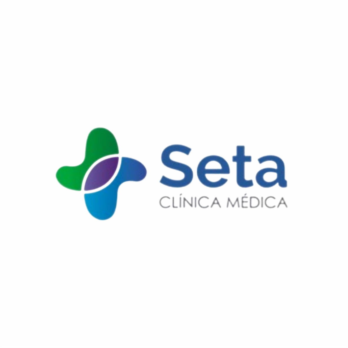 Logo-Clinica-Seta